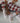Eulenschnitt, Kindersocken 27-30, 'All Over Zuckerstangen'