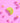 VON RIKE, Haarklammer LEMON